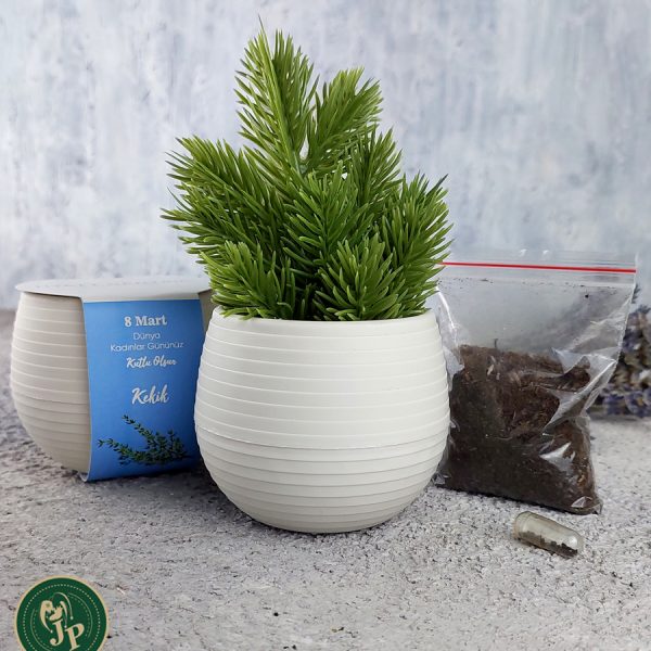 Bitki Yetiştirme Seti Yuvarlak