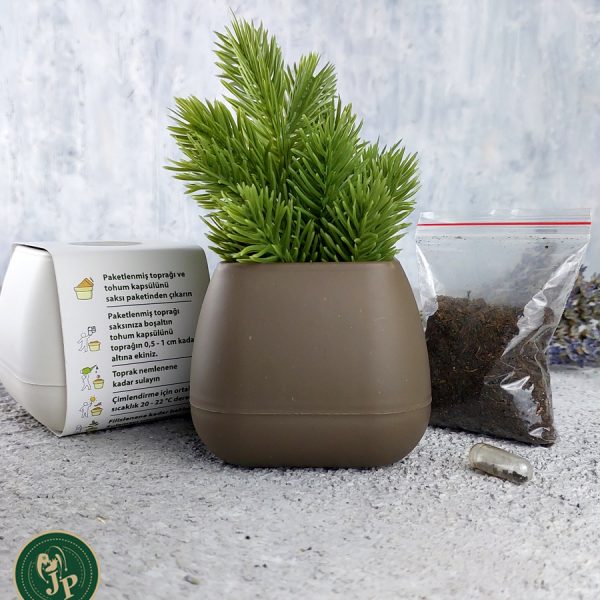 Bitki Yetiştirme Seti Kare Mocca