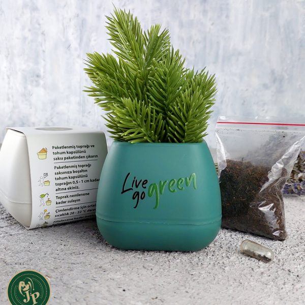 Bitki Yetiştirme Seti Kare Yeşil