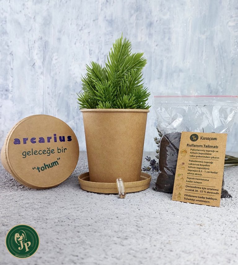 karton bitki yetistirme seti kraft Joker Promosyon ve Tanıtım Ürünleri