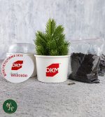 Karton Bitki Yetiştirme Seti Ekonomik - Görsel 4