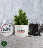 Karton Bitki Yetiştirme Seti Ekonomik - Görsel 5