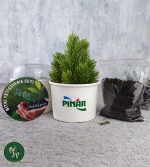 Karton Bitki Yetiştirme Seti Ekonomik - Görsel 6