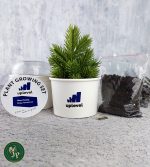 Karton Bitki Yetiştirme Seti Ekonomik - Görsel 7