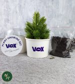 Karton Bitki Yetiştirme Seti Ekonomik - Görsel 8