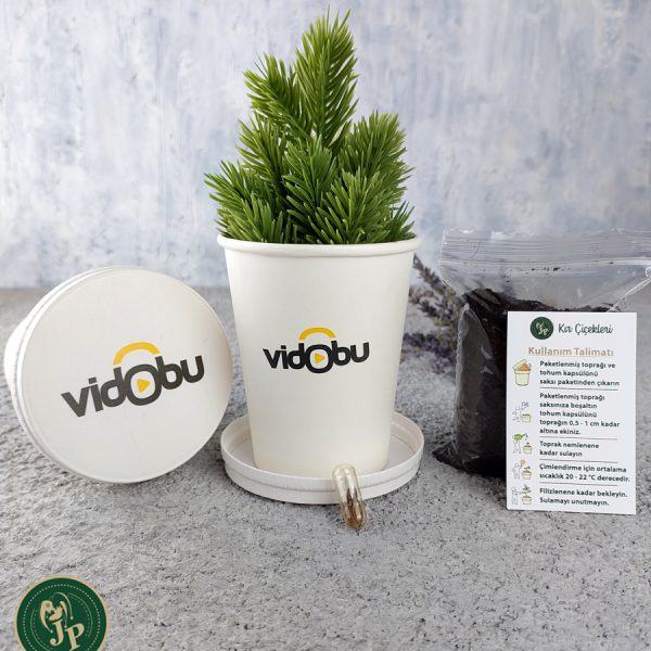 Beyaz Karton Bitki Yetiştirme Seti